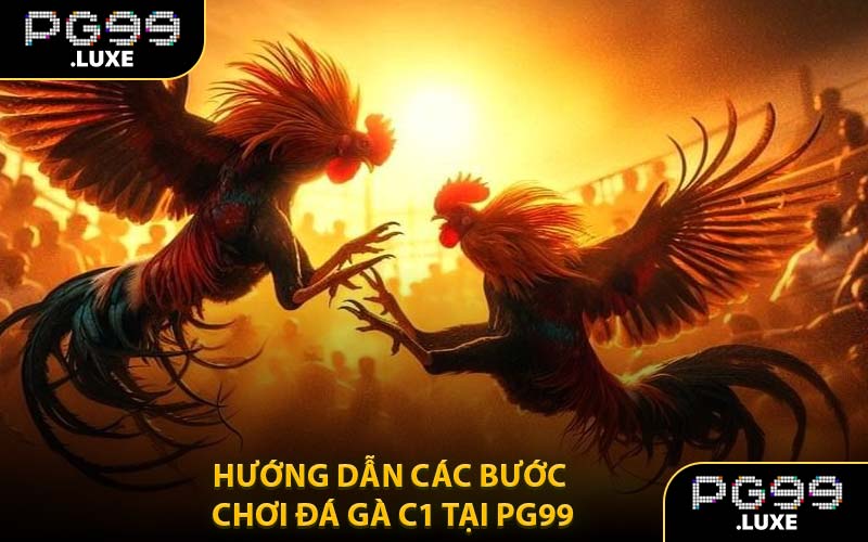 Hướng Dẫn Các Bước Chơi Đá Gà C1 Tại PG99