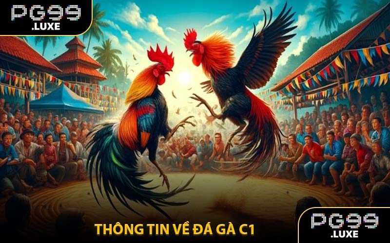 Thông Tin Về Đá Gà C1